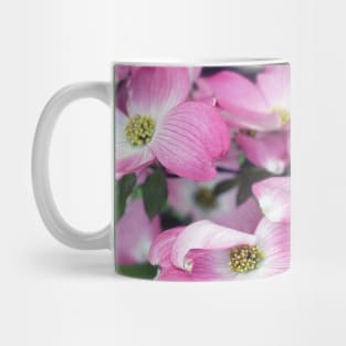 Dogwood Flowers in Spring Mug